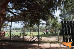 Gara di pesca 20161269.jpg